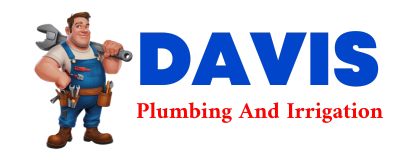 Trusted plumber in FREER